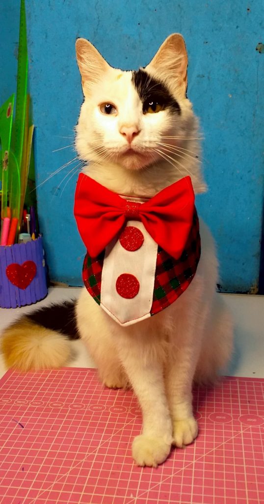 Bandana natalina para gato e cachorro - molde parte 3