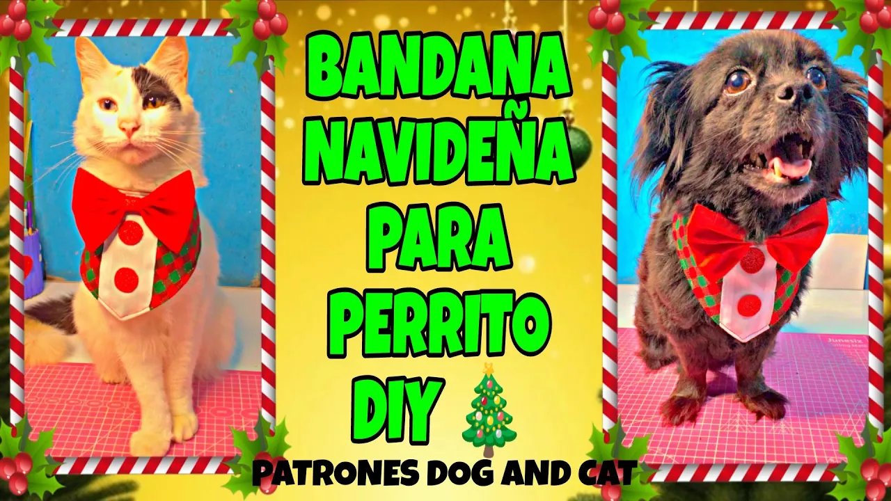 Bandana natalina para gato e cachorro