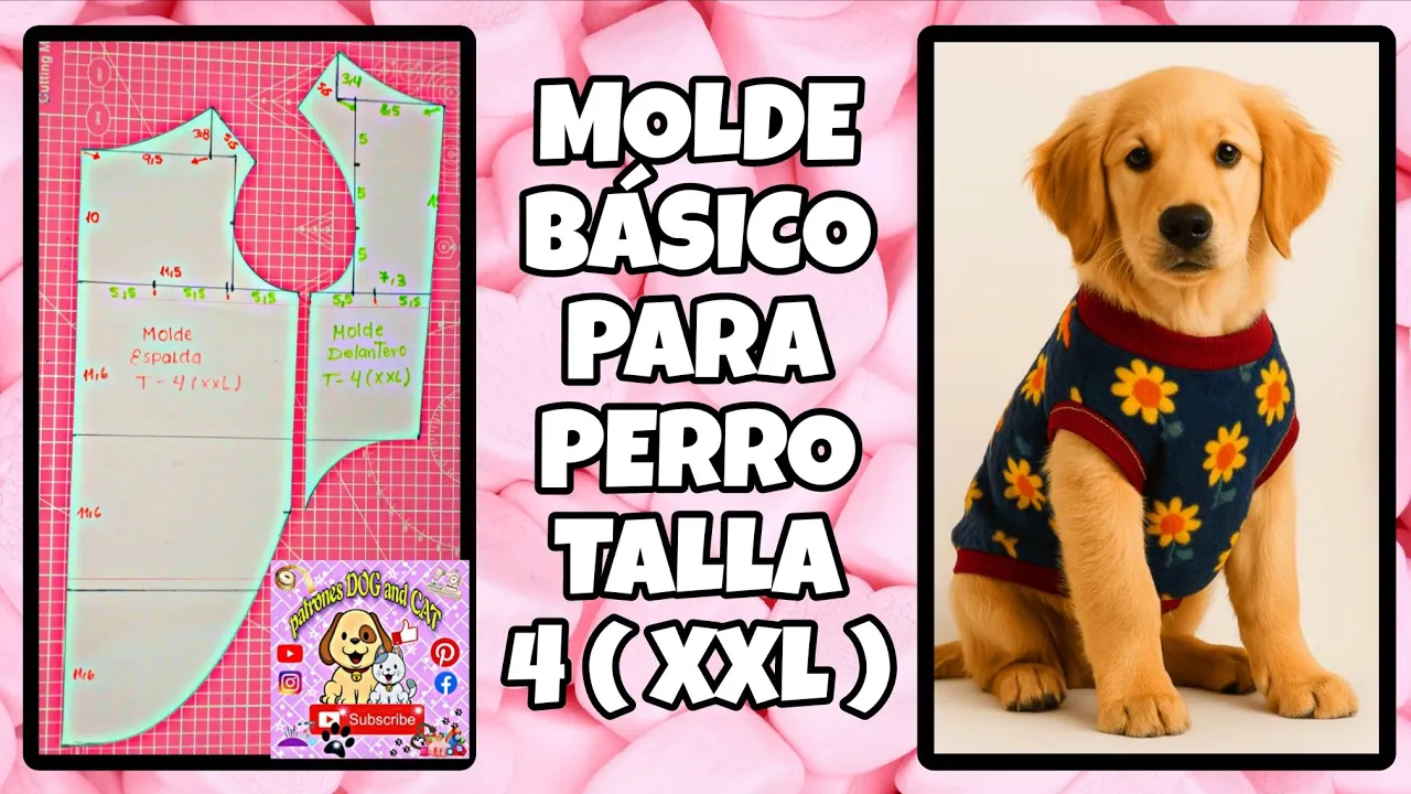 Molde básico tamanho 4 XXL com tabela de medidas para roupa de cachorro