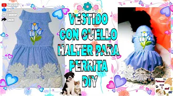 Vestido para cachorrinha com gola halter