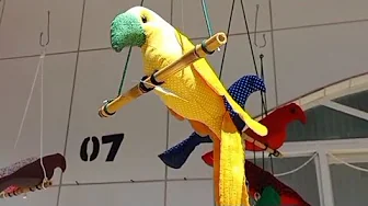Ararinha Tilda de tecido