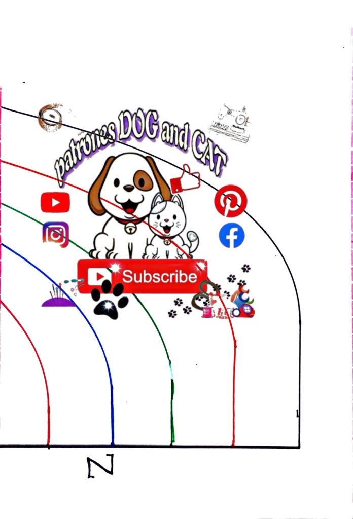 Camiseta polo natalina para gato e cachorro - molde parte 5