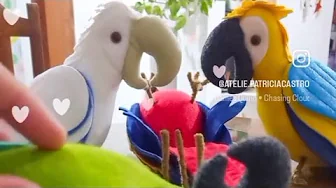 Como fazer pezinhos nos pássaros