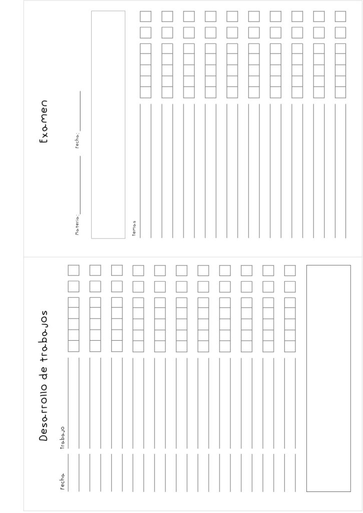 Planner de estudos completo para imprimir - molde parte 10