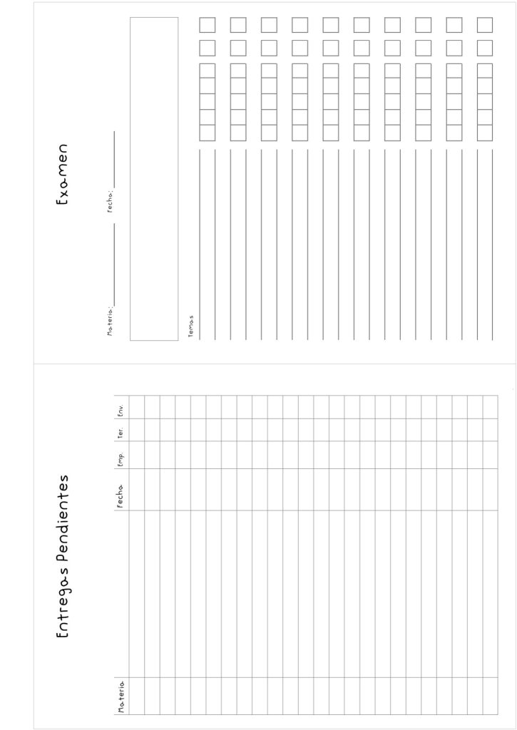 Planner de estudos completo para imprimir - molde parte 8
