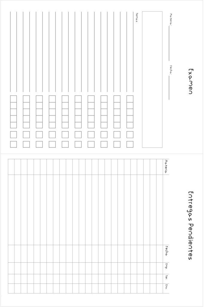 Planner de estudos completo para imprimir - molde parte 9