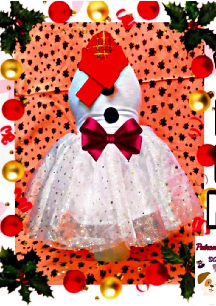 Vestido de boneca de neve para cachorrinha - molde parte 7