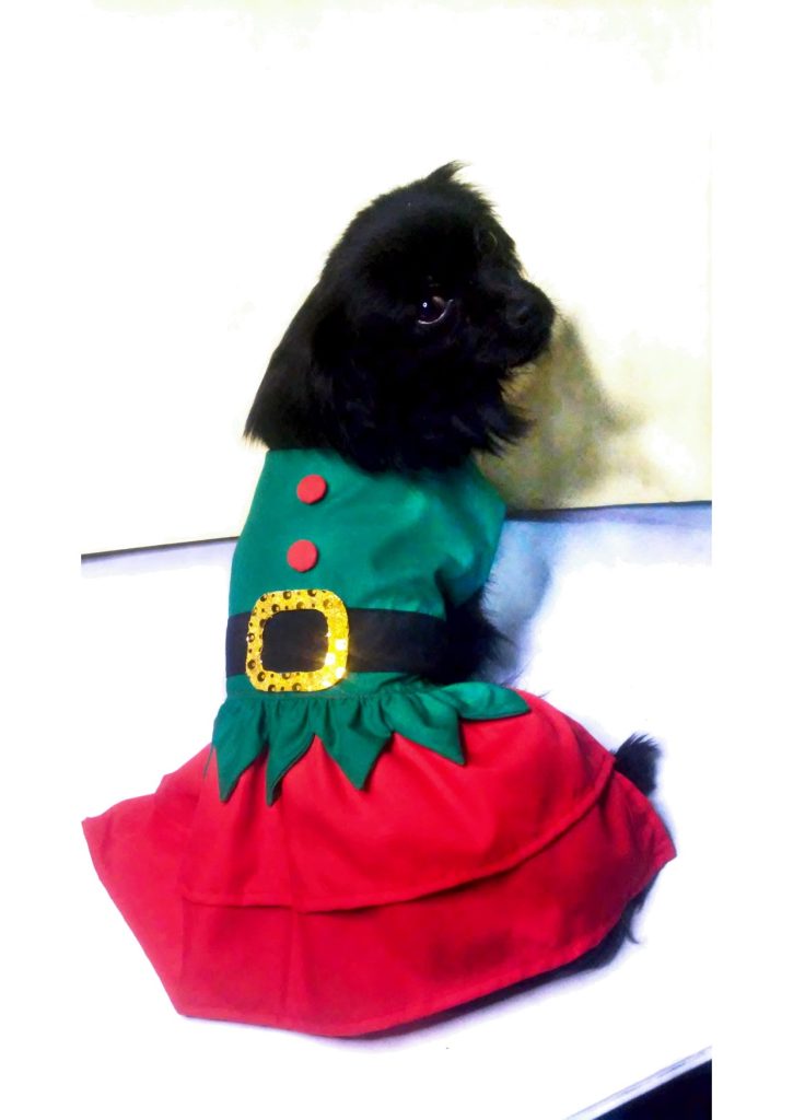 Vestido de duende natalina para cachorrinha - molde parte 8