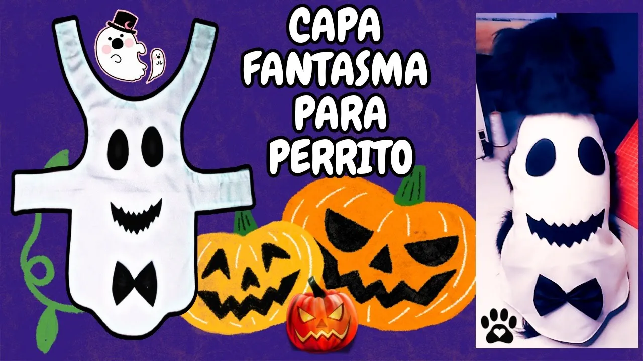 Capa de fantasma para cachorro no Halloween