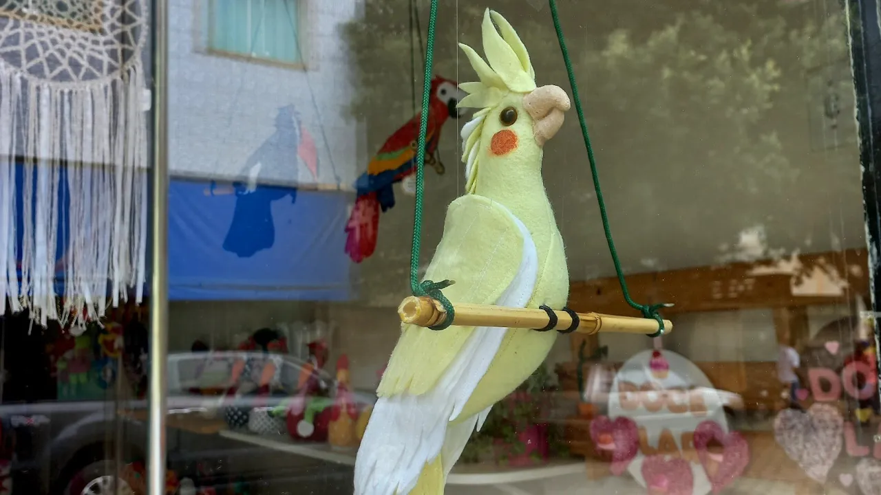 Pássaro calopsita de feltro 3D