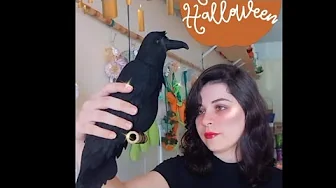 Pássaro corvo de feltro