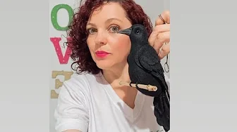 Pássaro-preto graúna de feltro