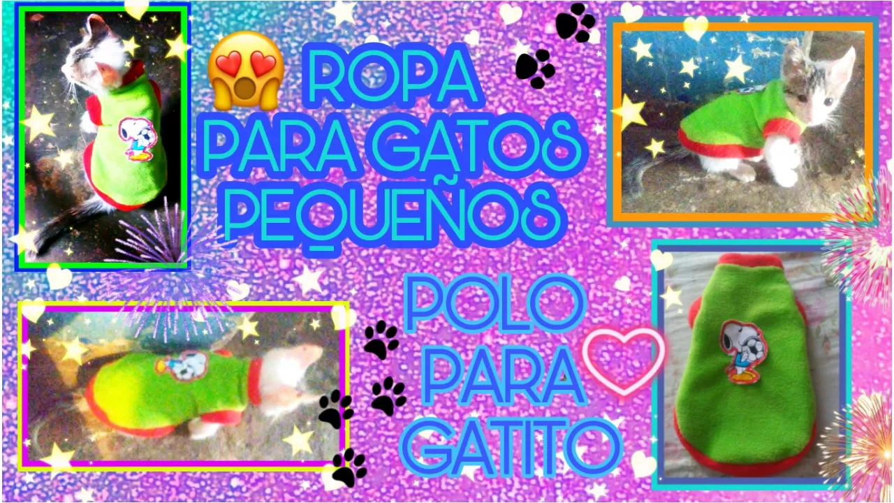 Roupa para gatos