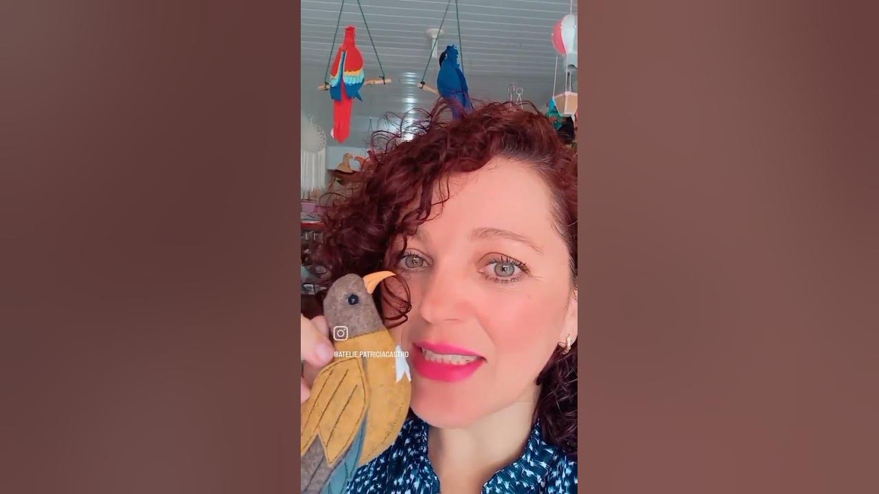 Sabiá de feltro 3D