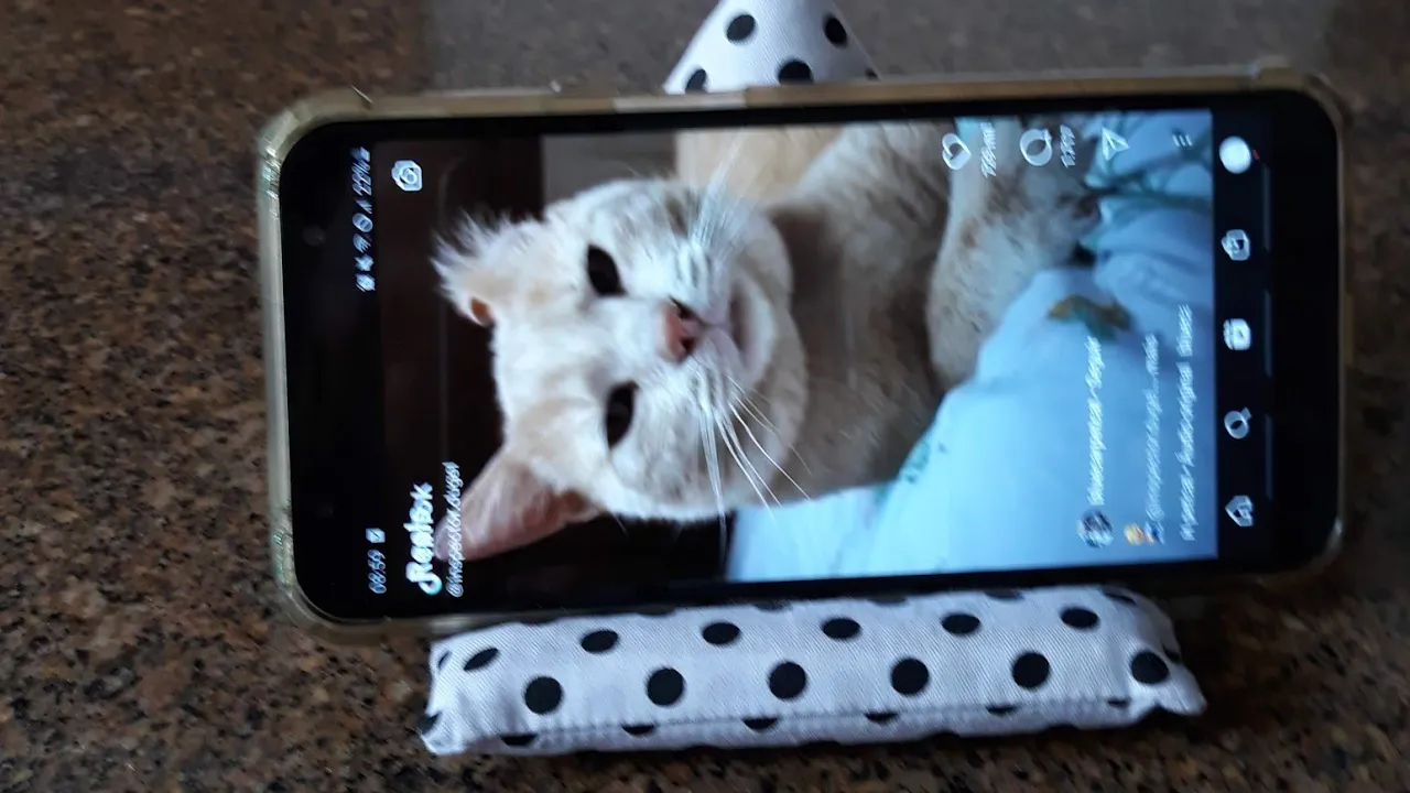 Suporte para celular de tecido