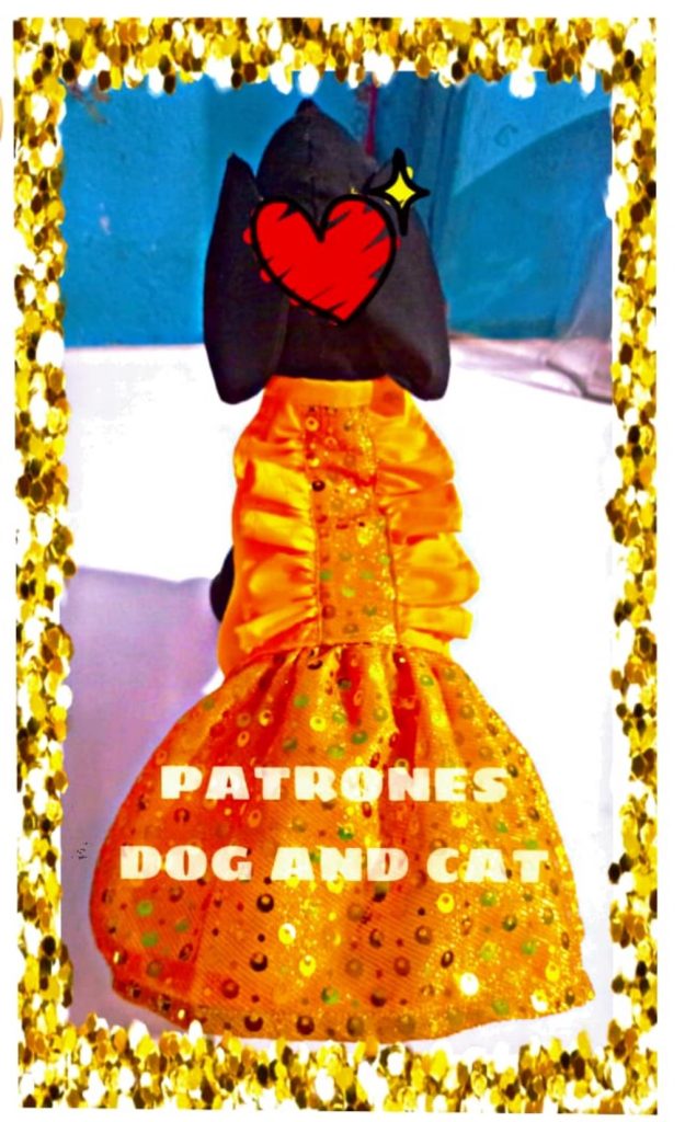 Vestido de Ano-Novo para cachorrinha - molde parte 1