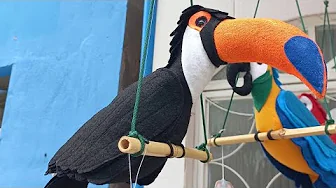 Tucano de feltro 3D